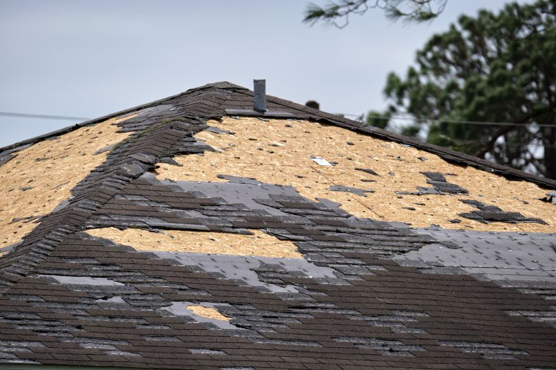 Shingle Replacement