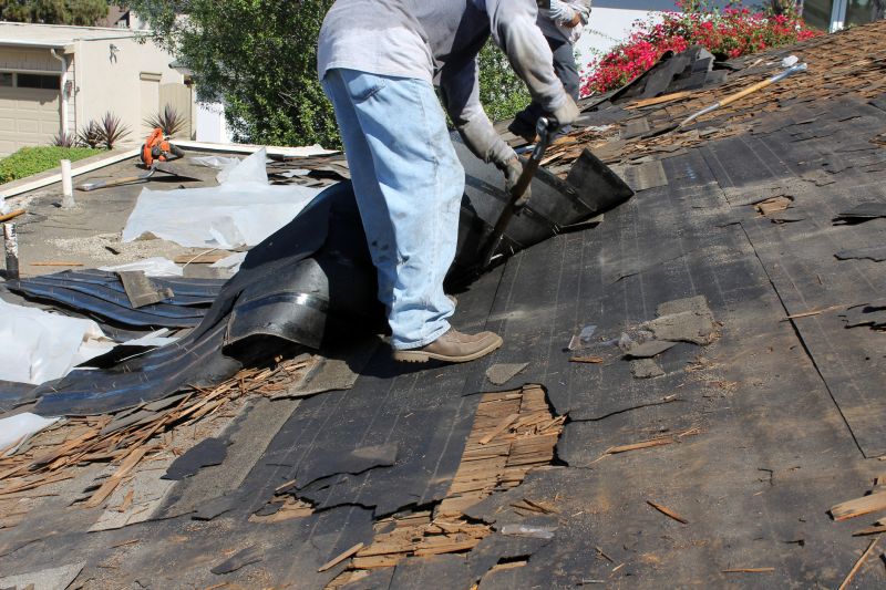 Who Does Roofing Service